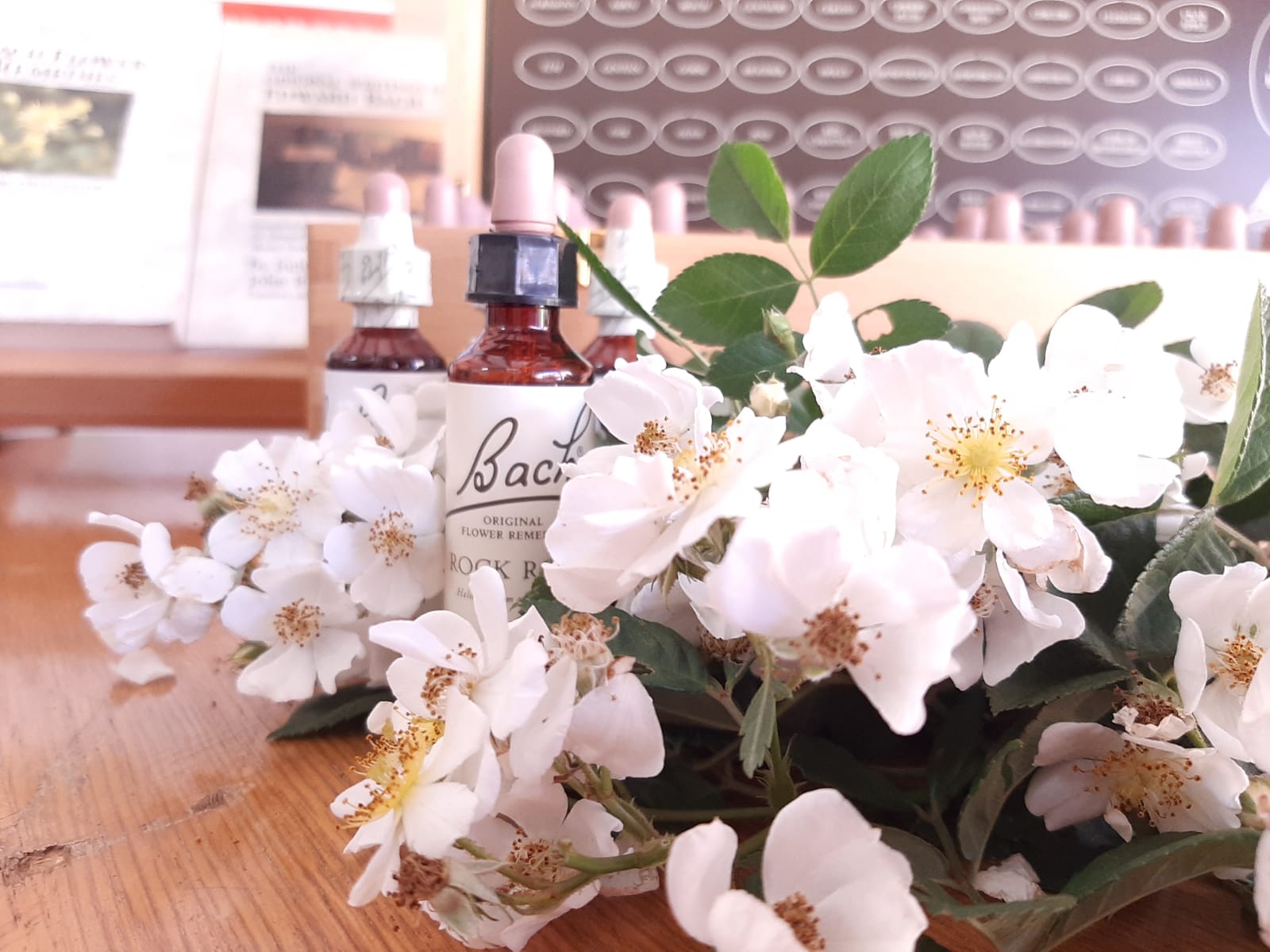 WhatsApp Image 2021-10-12 at 10.27.37